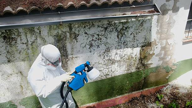 Top rated local Mold Inspection And Testing specialists in Vienna, GA